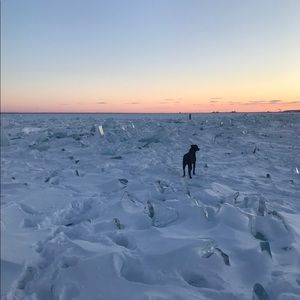 Meet your Posher, Ellie